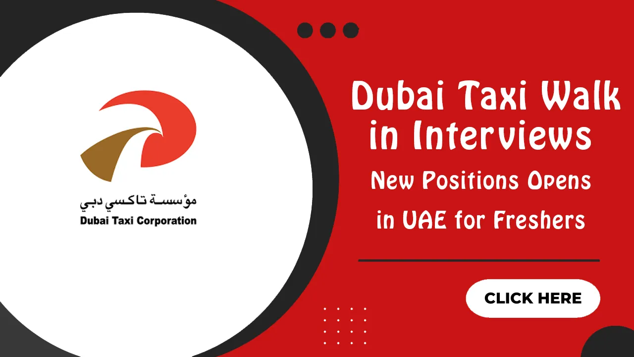 Dubai Taxi Walk in Interview
