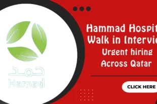 Hamad Hospital Walk in Interview