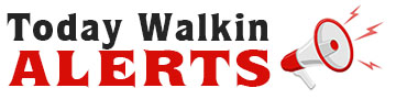 Today Walk in Interview Alerts