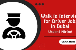 Walk in Interview for Driver Jobs in Dubai